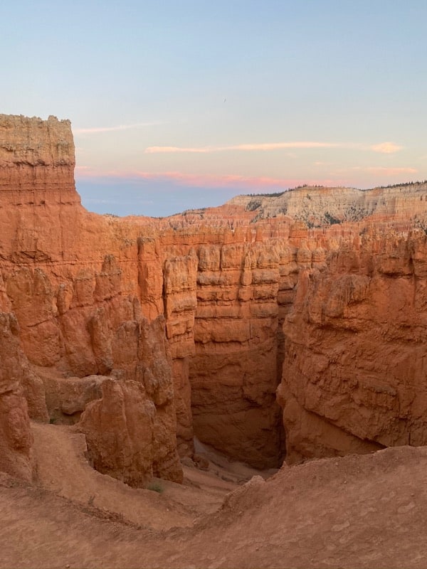 View of Wall Street from the top on the Queen's Garden/Navajo Loop trail.