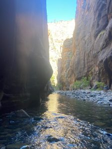 Virgin River running through a slot canyon on The Narrows hike.